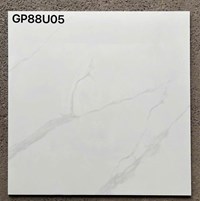 Gạch lát nền Taicera 80x80 GP88U05