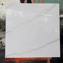 Gạch lát nền Taicera 80x80 GPC88901