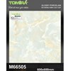 Gạch lát nền Tô Thành Phát 60x60 bóng M66505