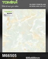 Gạch lát nền Tô Thành Phát 60x60 bóng M66505