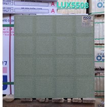 Đá sân vườn đồng chất 50x50 LUX5508