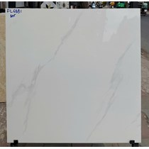 Đá bóng kính giá rẻ 60x60 FL6881