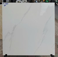 Đá bóng kính giá rẻ 60x60 FL6881