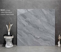 Gạch lát nền Tasa 120x120 9531