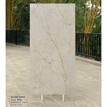 Gạch Tasa 90x180 bóng 9716