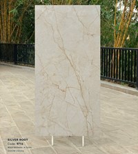 Gạch Tasa 90x180 bóng 9716