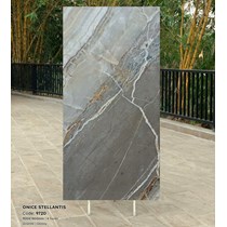 Gạch Tasa 90x180 bóng 9720