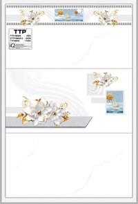 Gạch ốp tường giá rẻ 30x60 TTPV38609