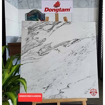 Gạch Đồng Tâm 8080DONGVAN006