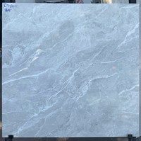 Đá bán sứ bóng kính giá rẻ 60x60 SM6005