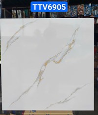 Gạch lát nền giá rẻ 60x60 bóng TTV6905