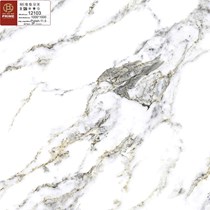 Gạch lát nền Prime 100x100 12103