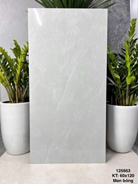 Gạch Vicenza 60x120 bóng 125663
