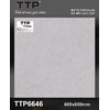 Gạch lát nền Tô Thành Phát 60x60 mờ TTP6646