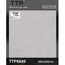 Gạch lát nền Tô Thành Phát 60x60 mờ TTP6646