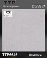 Gạch lát nền Tô Thành Phát 60x60 mờ TTP6646