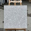 Gạch lát nền Granite Vitaly 60x60 mờ TLP6623M