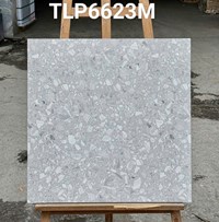 Gạch lát nền Granite Vitaly 60x60 mờ TLP6623M