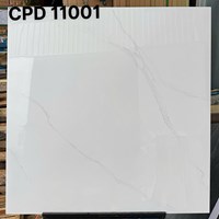 Gạch lát nền CMC 100x100 CPD11001S5