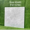 Gạch lát nền Tasa 60x60 bóng FST.5789