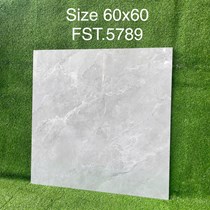Gạch lát nền Tasa 60x60 bóng FST.5789