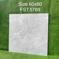 Gạch lát nền Tasa 60x60 bóng FST.5789