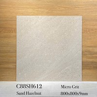 Gạch lát nền Apodio 80x80 mờ C88SH612