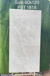 Gạch Tasa 60x120 bóng FST.1818