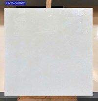 Gạch lát nền Viglacera 80x80 UN25-GP8807