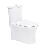 Bồn cầu Basic BS 107