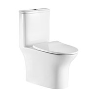 Bồn cầu Basic BS 110