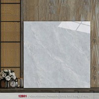 Gạch lát nền Catalan 120x120 12801