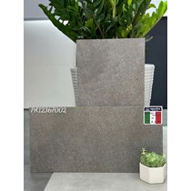 Đá đồng chất lát sân vườn Apodio 30x60 PA12367002