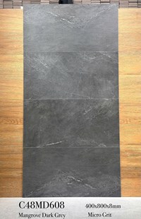 Gạch ốp tường Apodio 40x80 mờ C48MD608