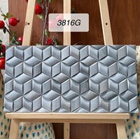 Gạch trang trí 3D Ấn Độ 30x60 3816G
