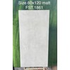 Gạch Tasa 60x120 mờ FST.1861
