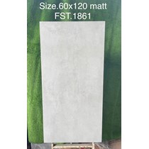 Gạch Tasa 60x120 mờ FST.1861