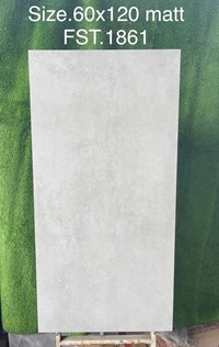 Gạch Tasa 60x120 mờ FST.1861