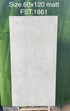 Gạch Tasa 60x120 mờ FST.1861