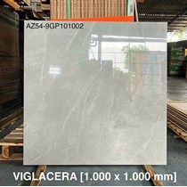 Gạch Viglacera 100x100 AZ54-9GP101002