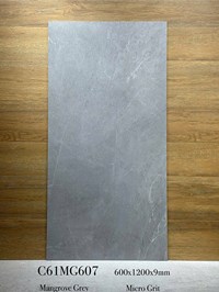 Gạch ốp lát Apodio 60x120 mờ C61MG607