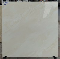 Đá bóng kính giá rẻ 60x60 FL6883