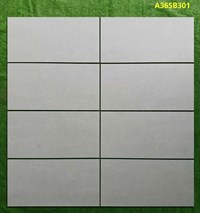 Gạch ốp tường Apodio 30x60 mờ A36SB301