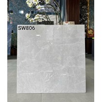Gạch lát nền Apodio 80x80 bóng C88SW806