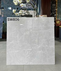Gạch lát nền Apodio 80x80 bóng C88SW806