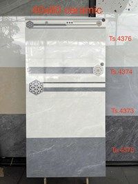 Gạch ốp tường Tasa 40x80 TS 4376-4374-4373-4375