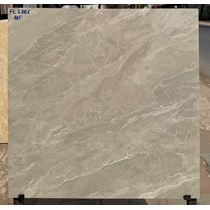 Đá bóng kính giá rẻ 60x60 FL6886