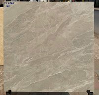 Đá bóng kính giá rẻ 60x60 FL6886