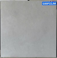 Gạch lát nền Taicera 80x80 mờ G88P22JM