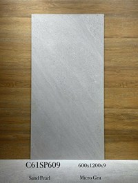 Gạch ốp lát Apodio 60x120 mờ C61SP609